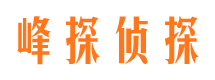 柳林市婚外情调查